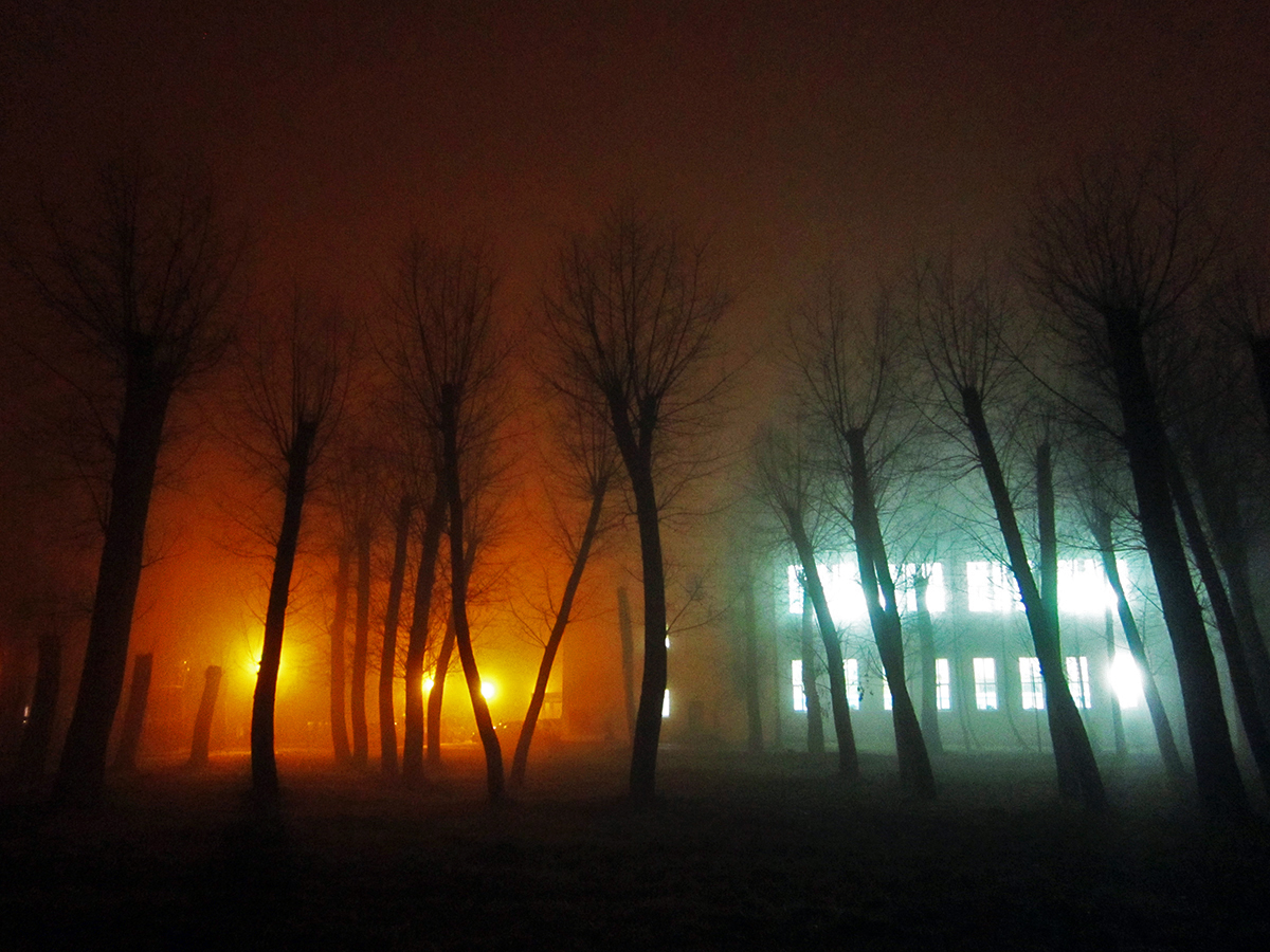 без названия #18