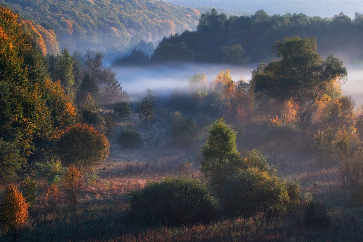 "Синий туман"