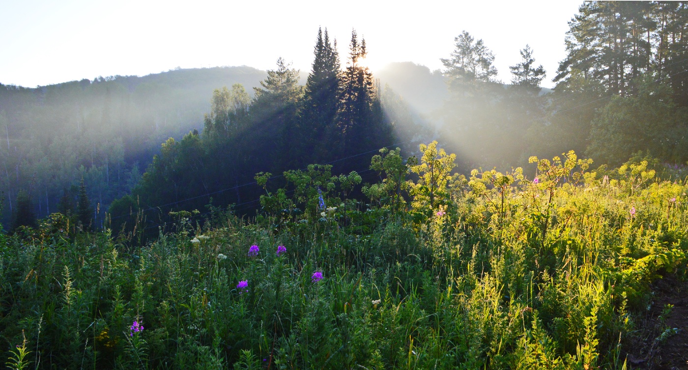 солнце встаёт