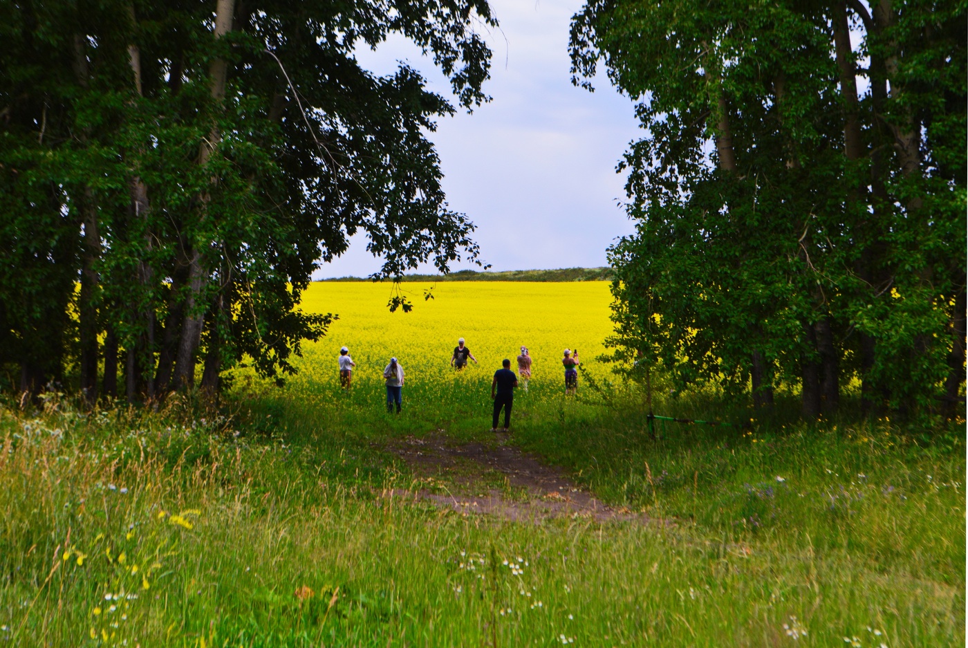 экскурсия в поле