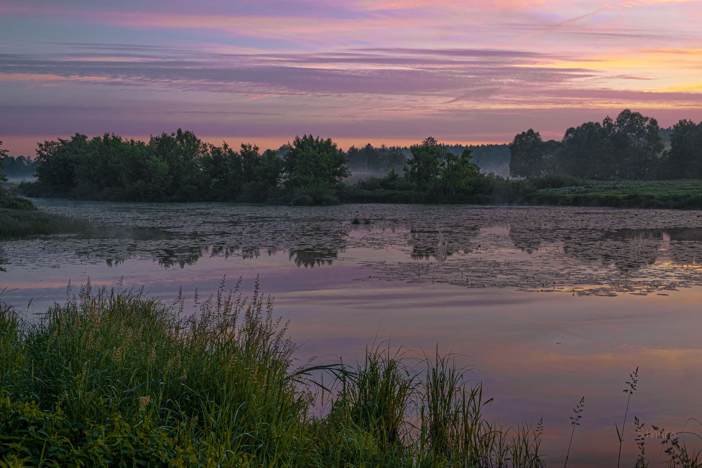 Летним утром.
