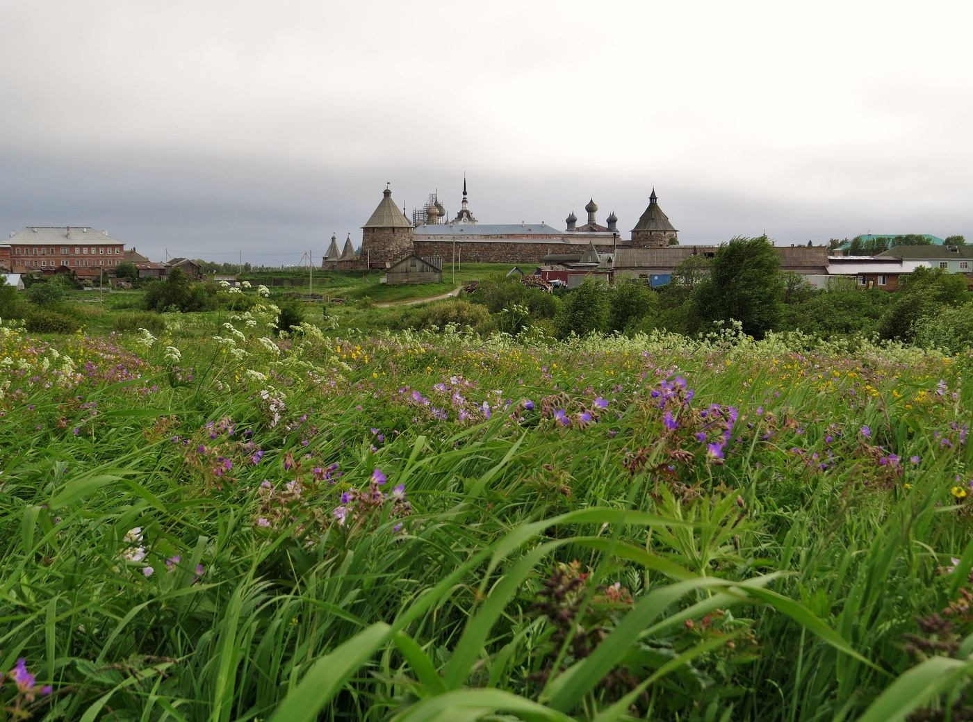 утро доброе