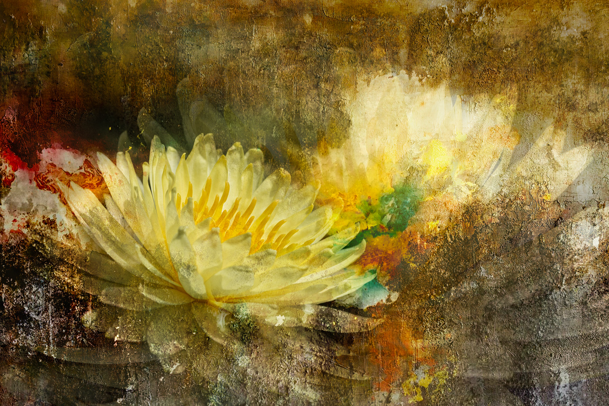 Фантазия с кувшинкой