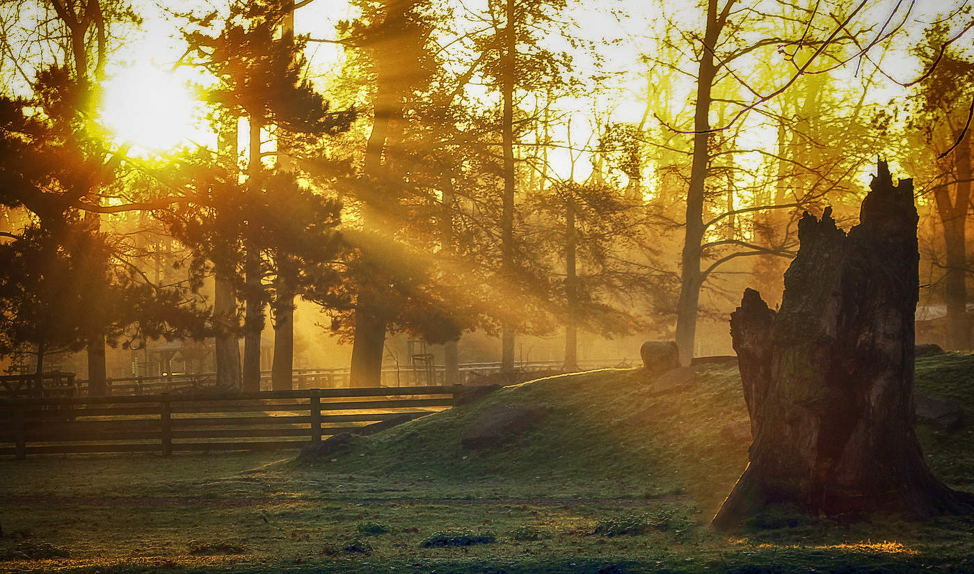 Испепеляющий луч