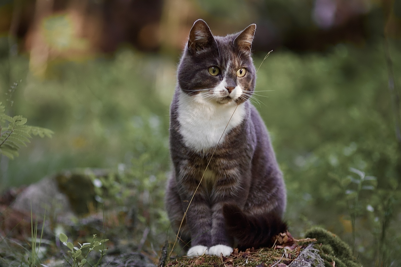 на паспорт!