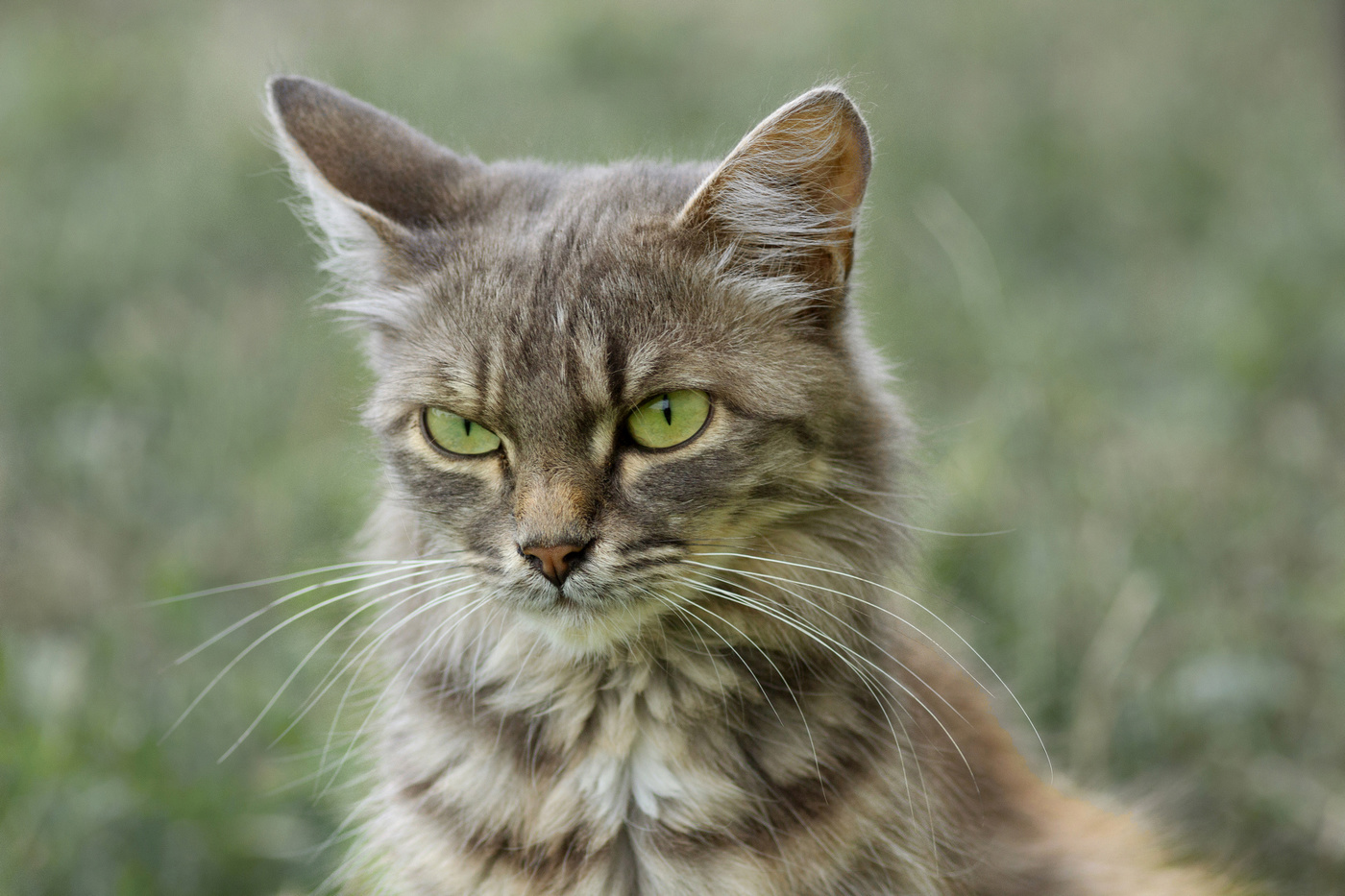 "Дама с характером"