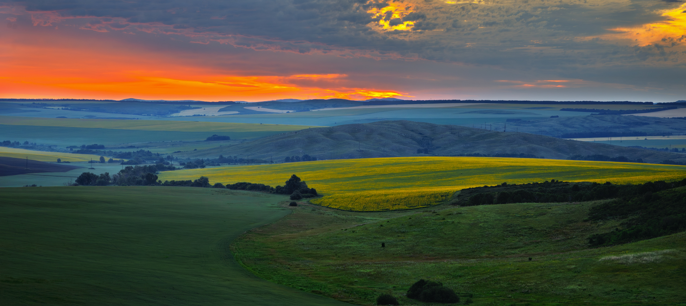 Предрассветная