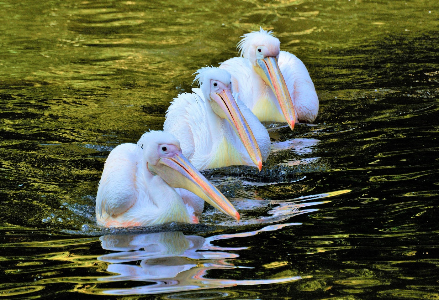 Три товарища ...