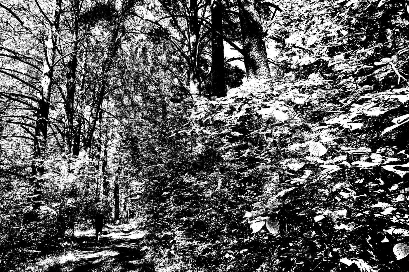 Жизнь вокруг