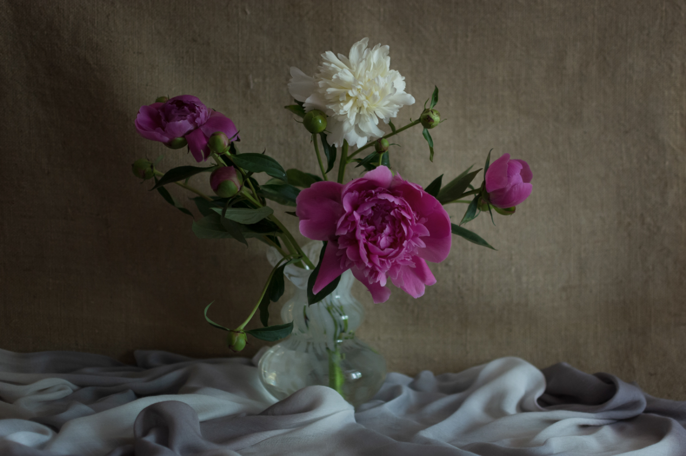 Любитель солнца и поклонник тени...