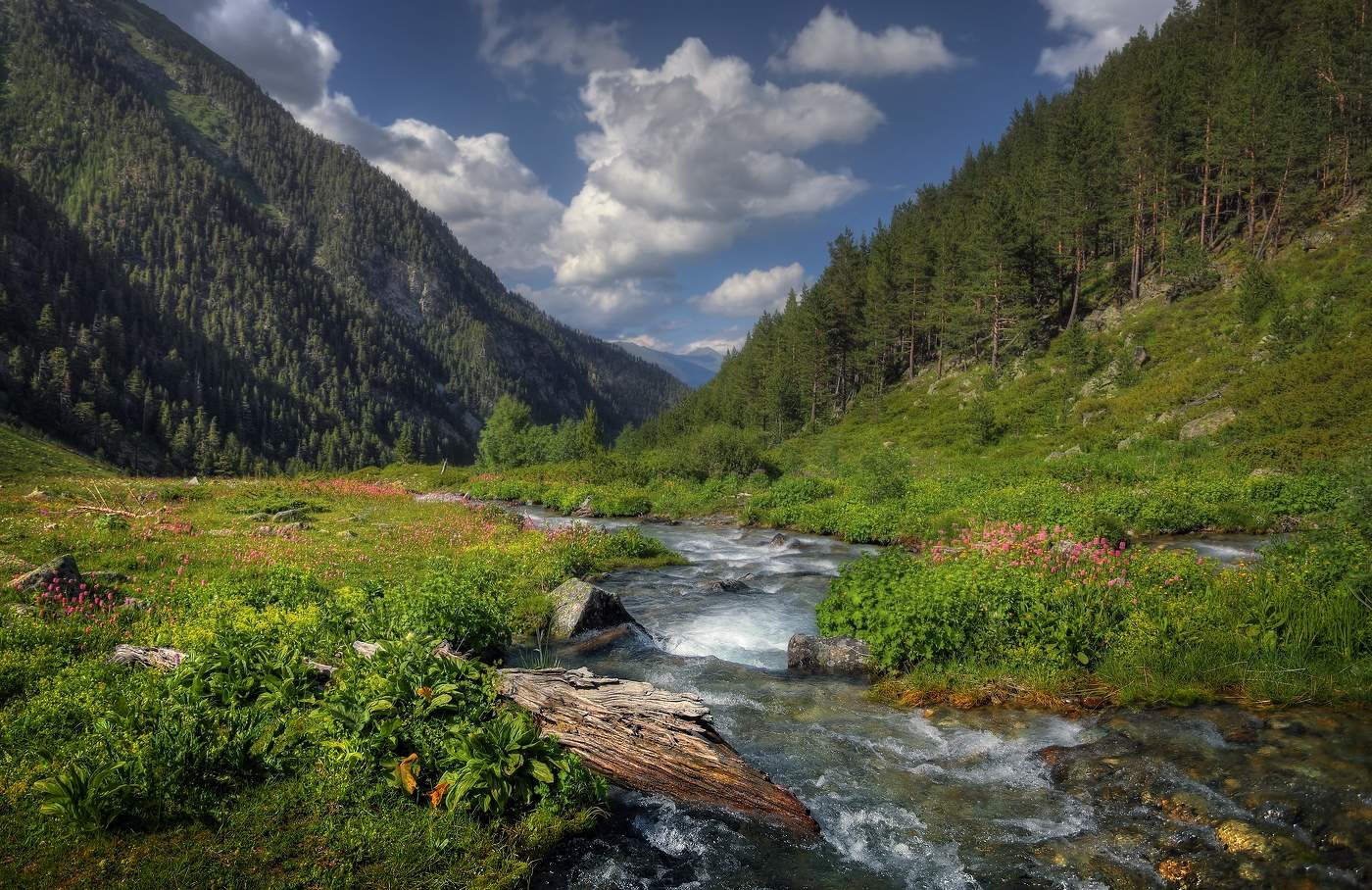 Кавказское лето..