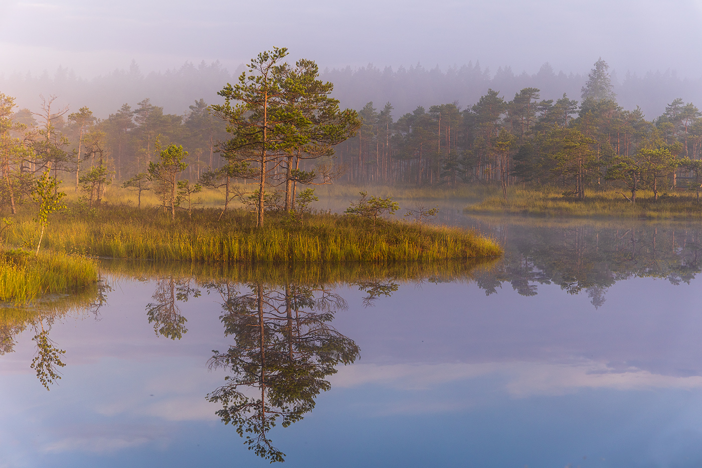 Тихая заводь