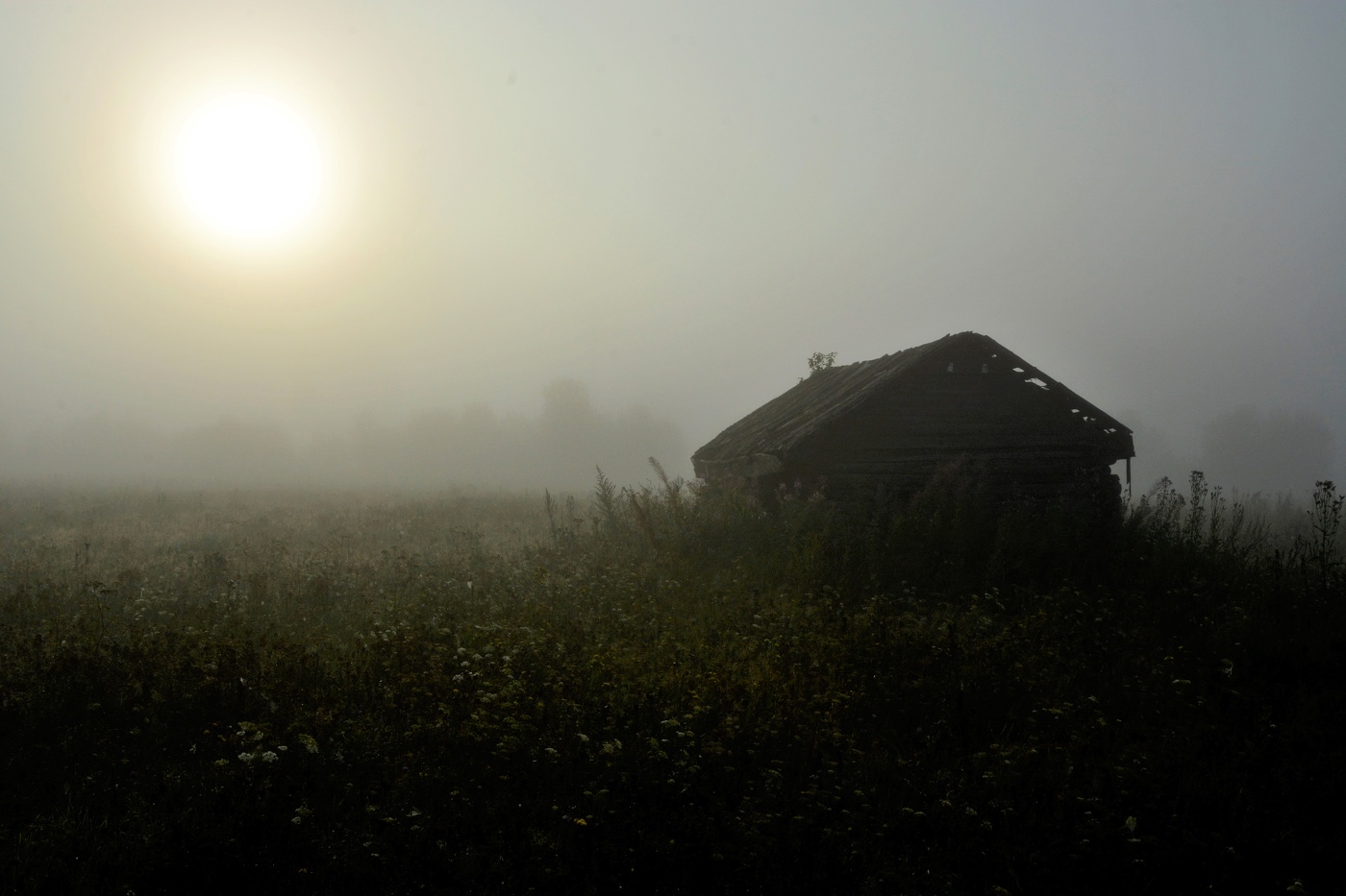 "Туман седой, как древний дед, что в балахон с утра одет..."