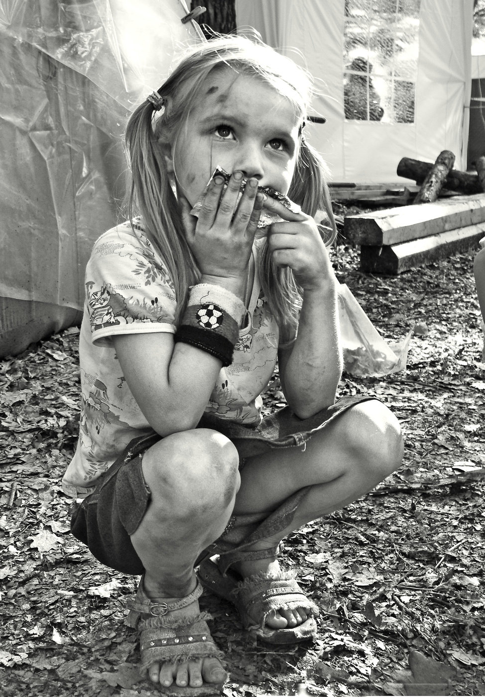 Нет больше шоколадки...