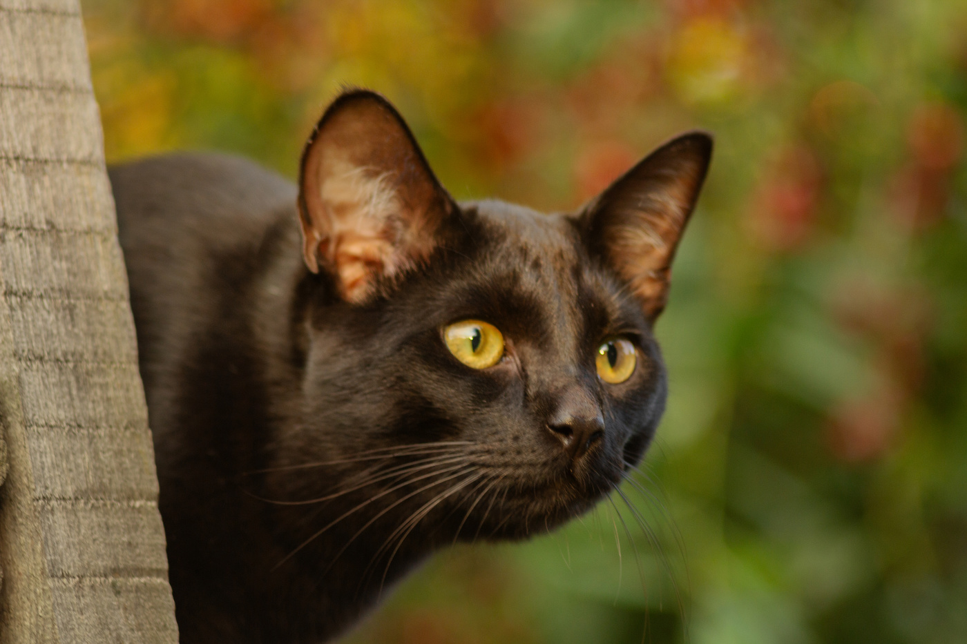 "Внимательно"