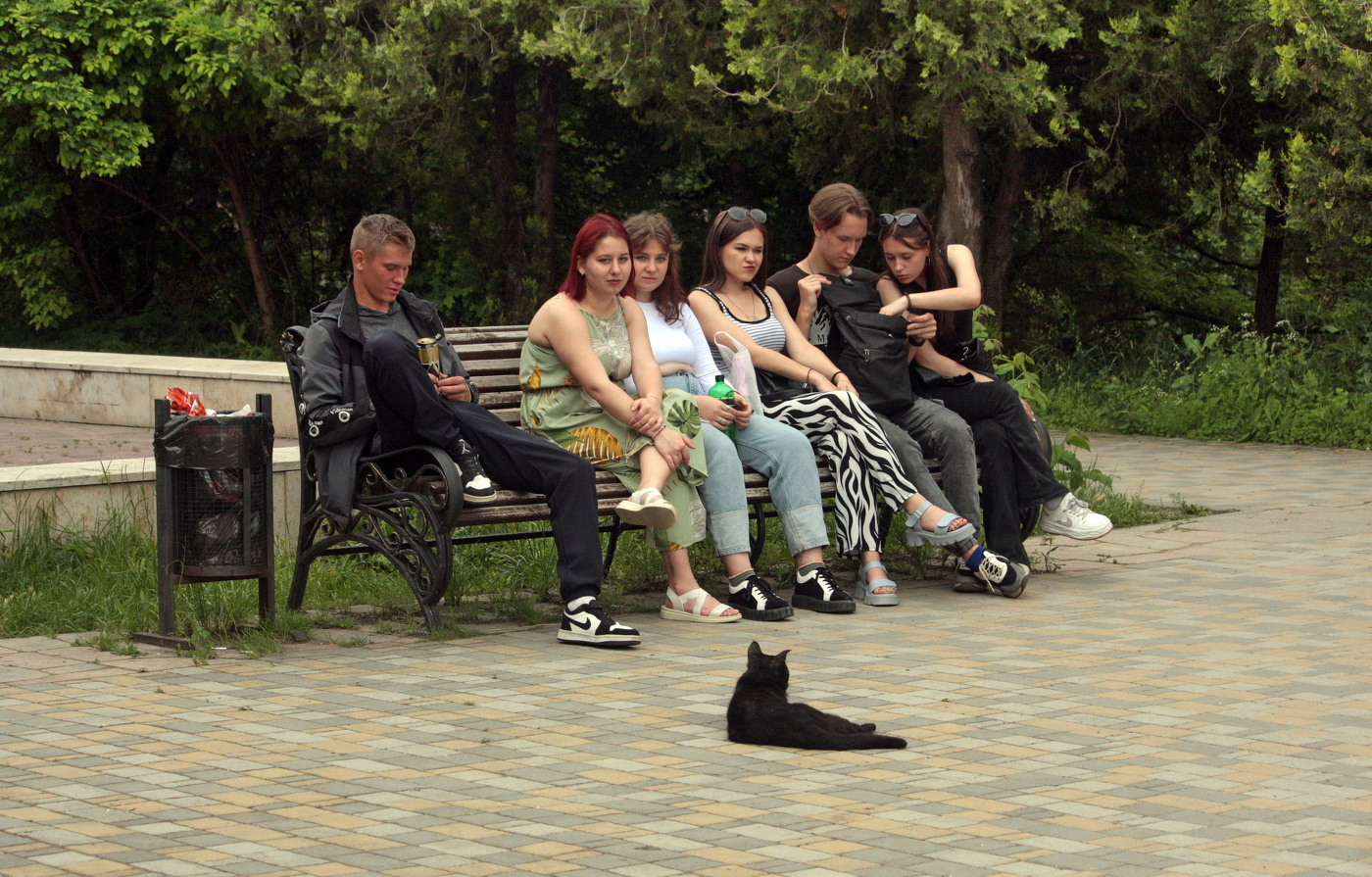 глава коТреля...)))