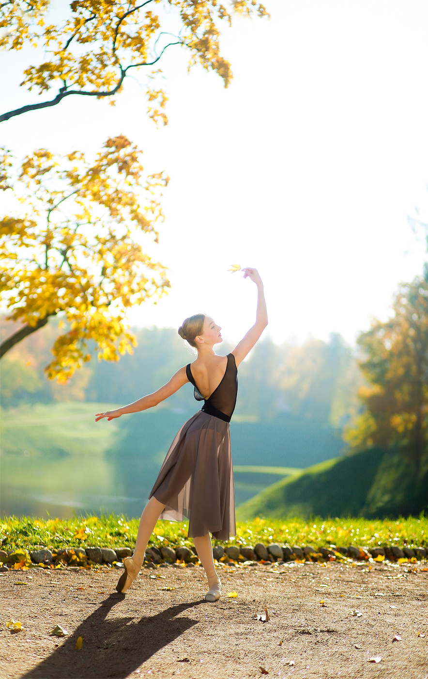 Балет в эксизах