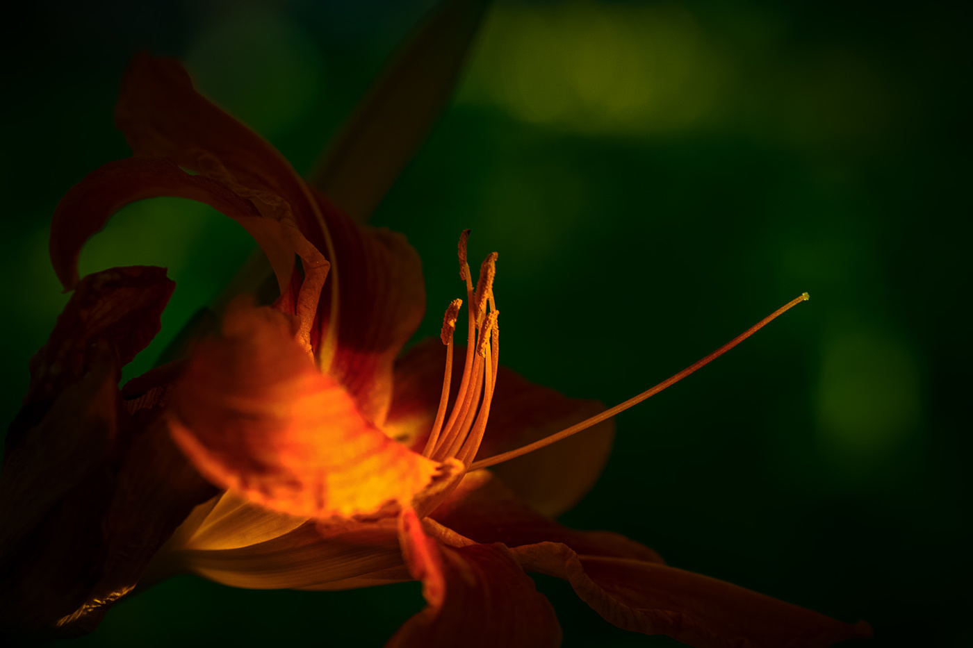 На встречу к свету