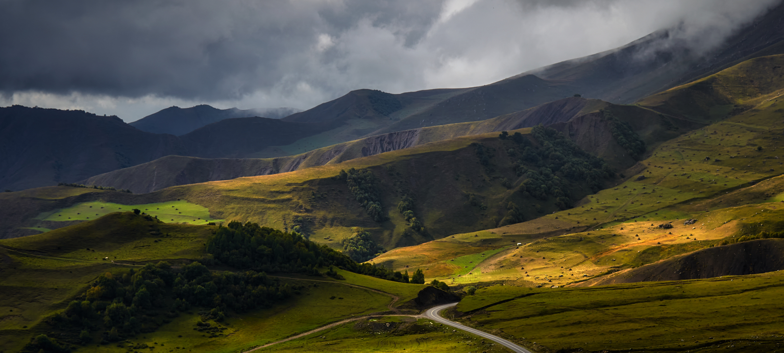 после дождя...