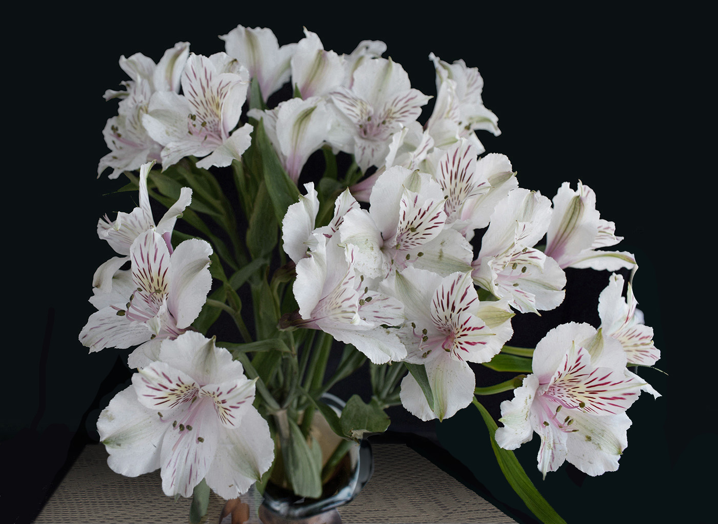 Альстромерия