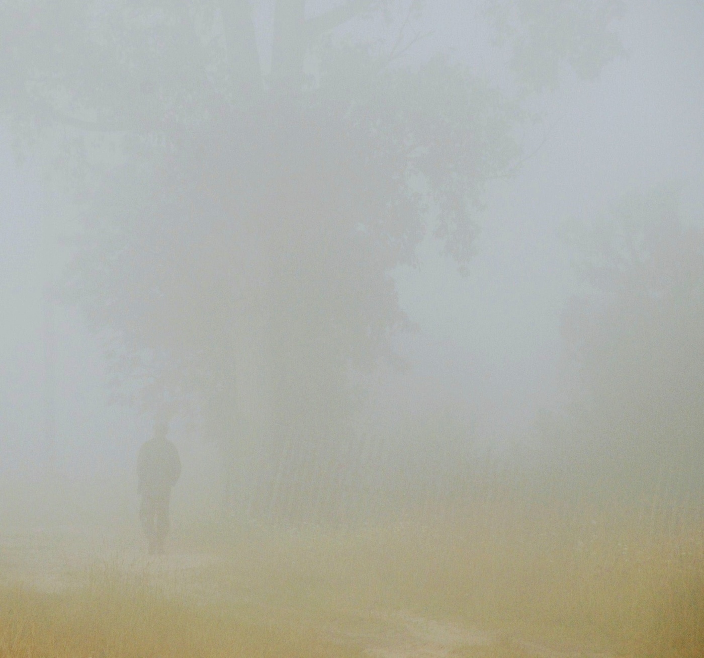 "Бывает по утрам такой туман, что рук не видно, не видать дорогу..."