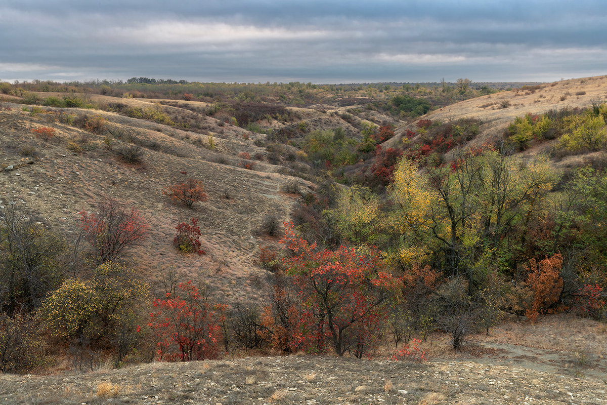 Октябрь в степной балке