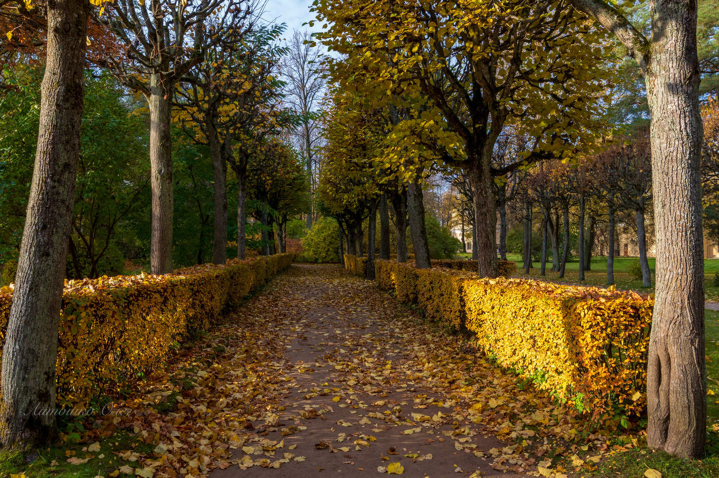 Павловск осенью.