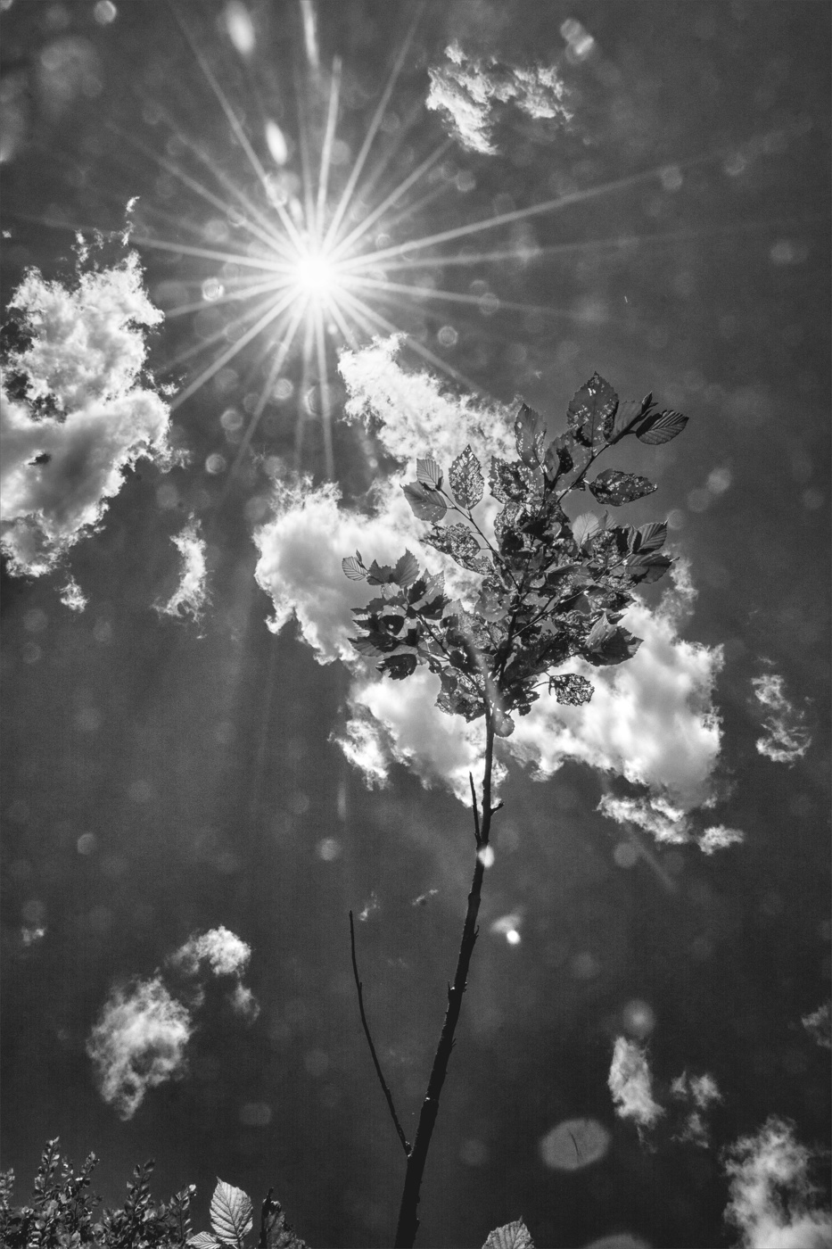 Жизнь вокруг