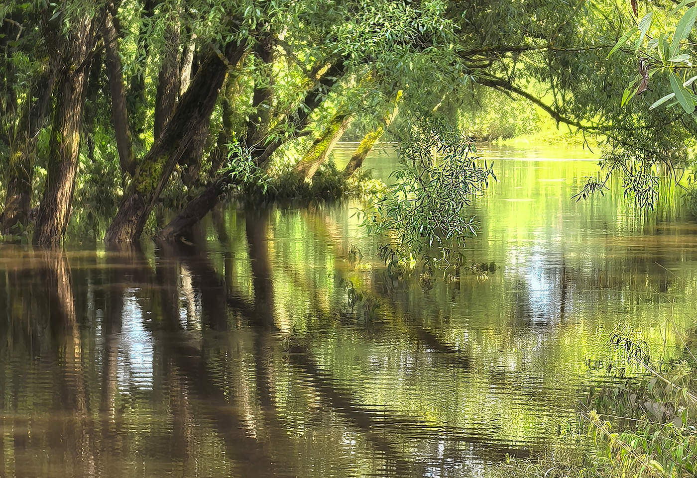 Речной импрессионизм