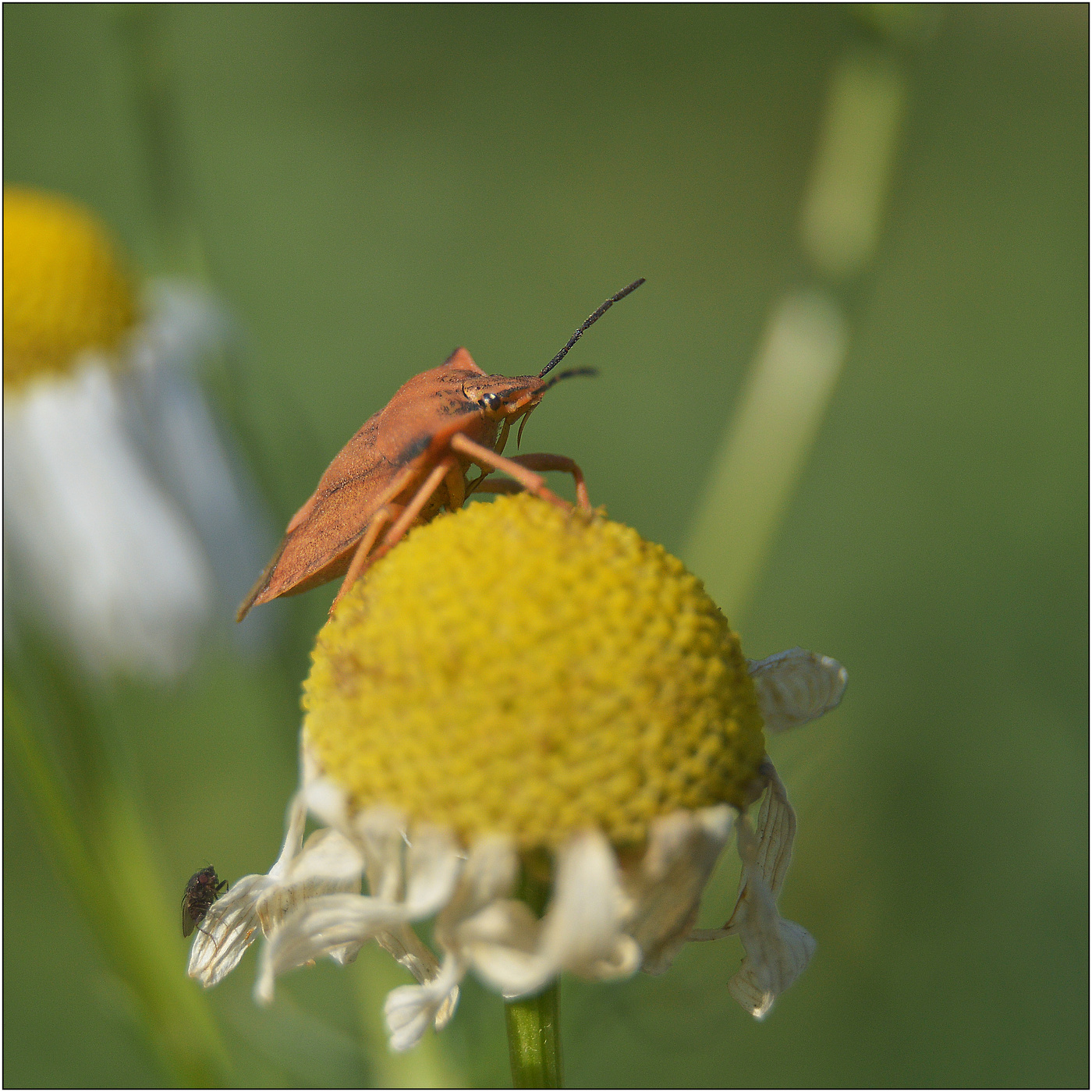 Очередь на взлет.