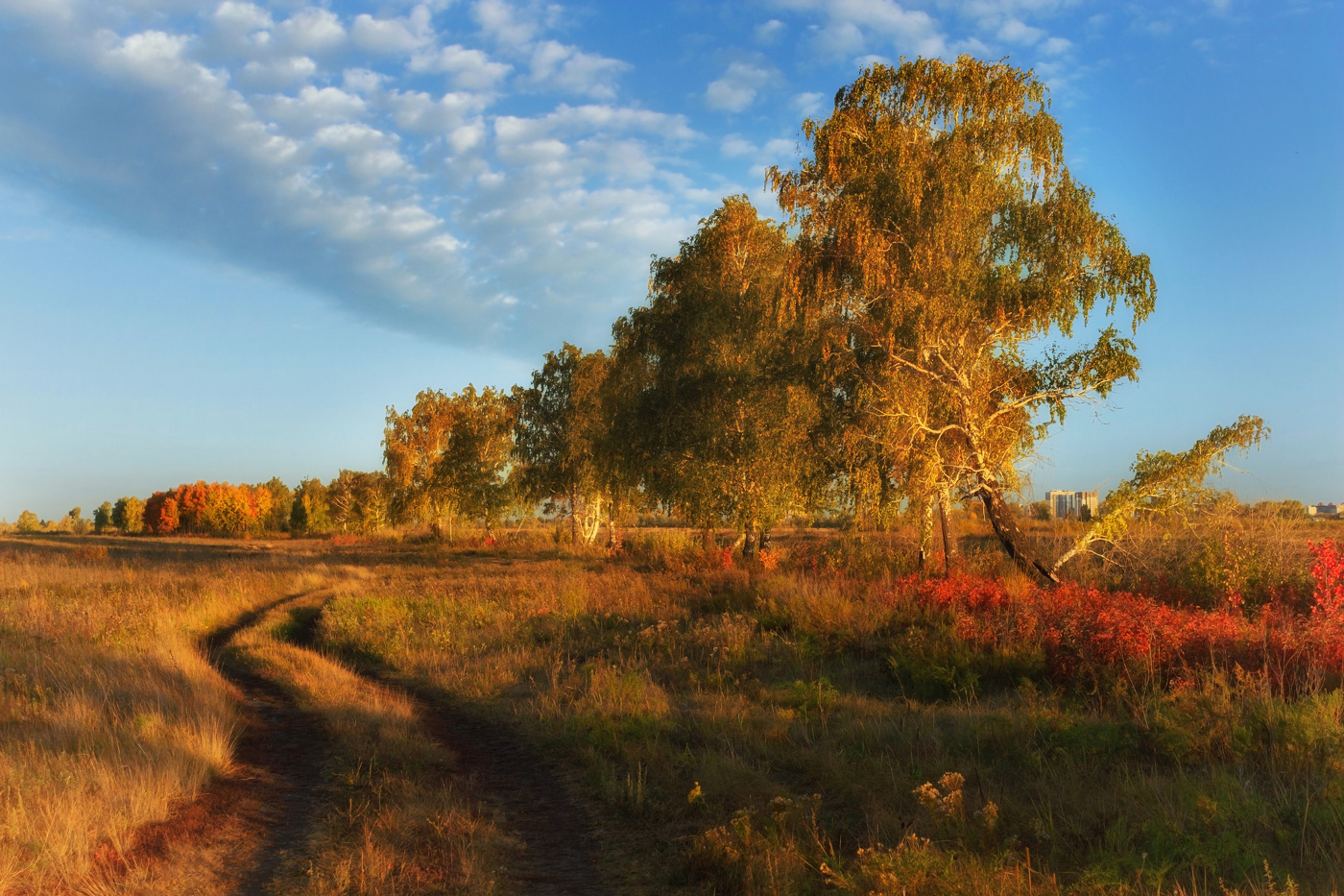 "Где-то за городом".