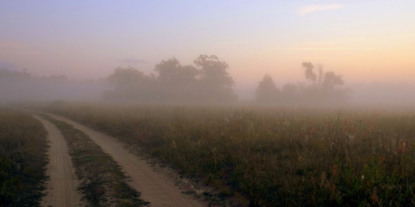 Рассвет в лугу.