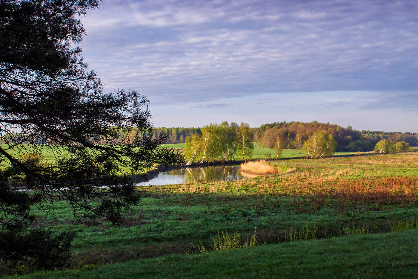 Утром у реки