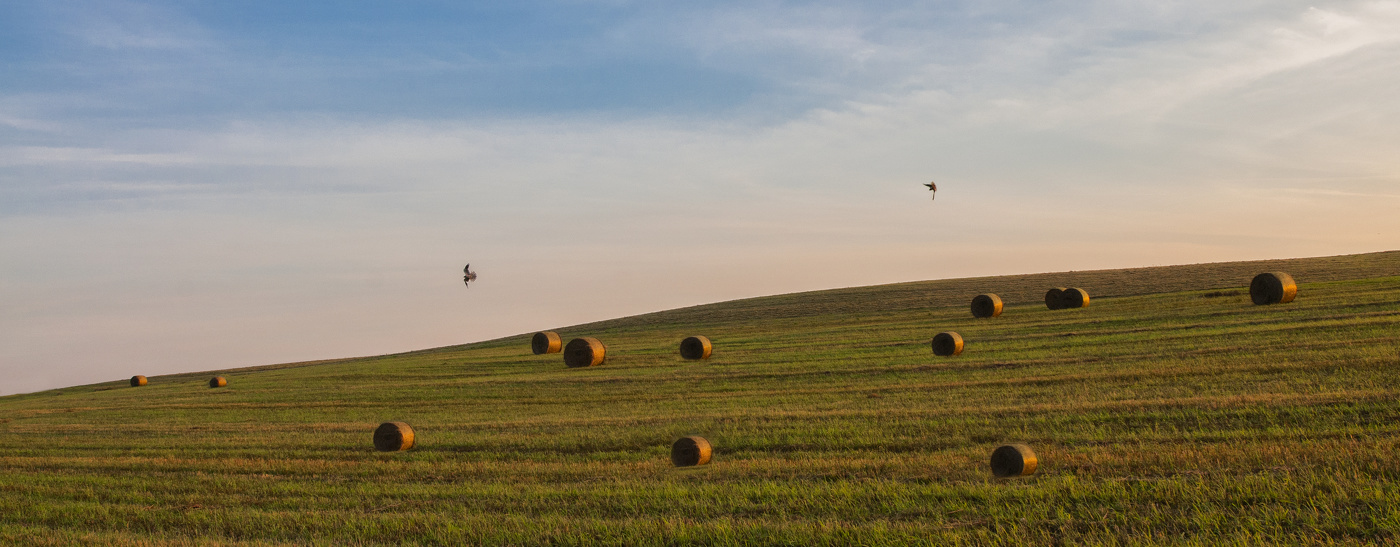 Лапшлей. Охотники...