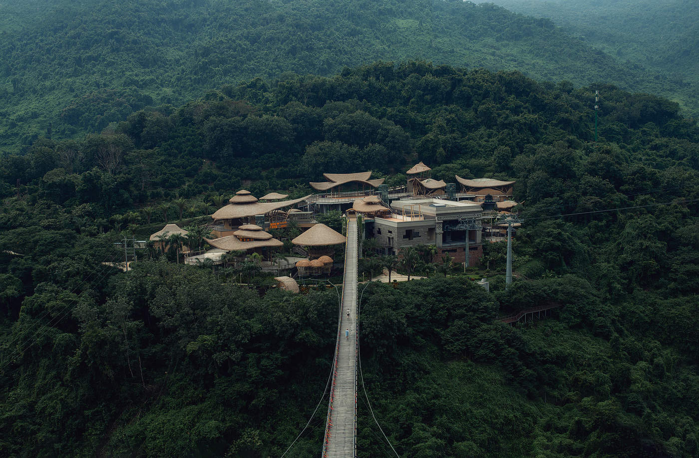 Реликтовые джунгли Янода.