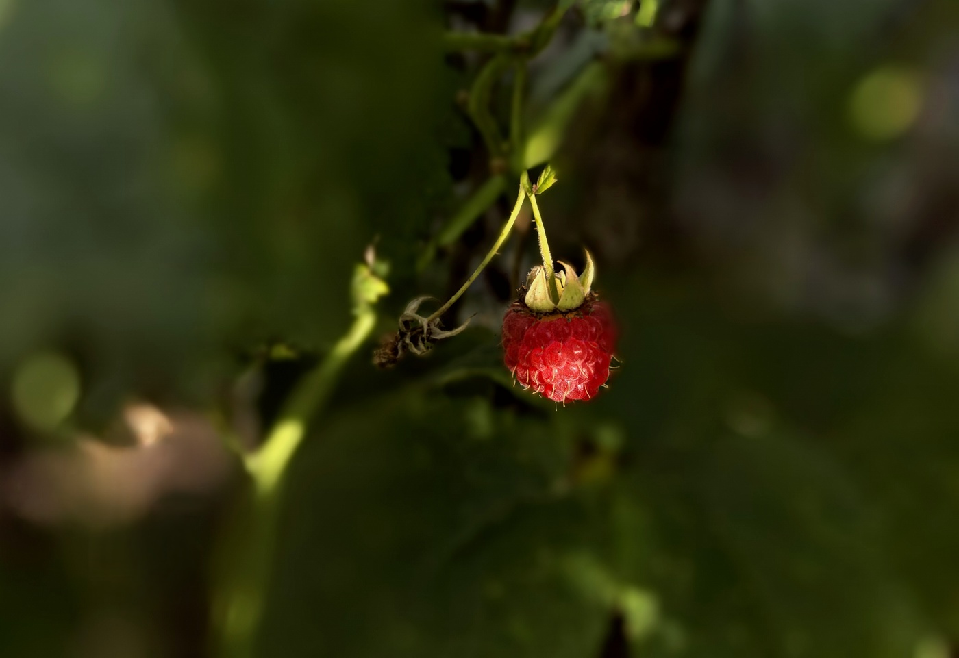 Последняя...