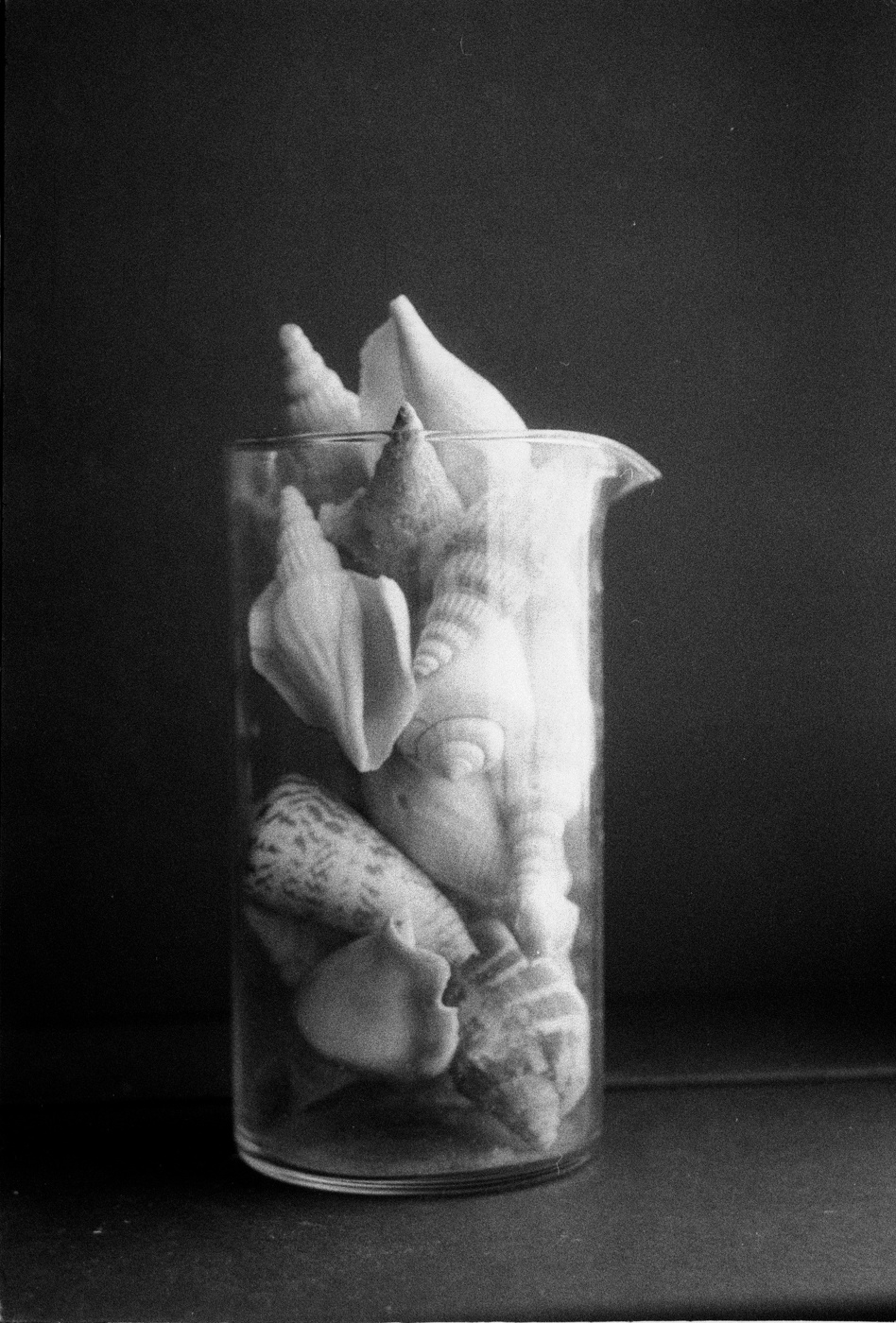 Стакан с ракушками