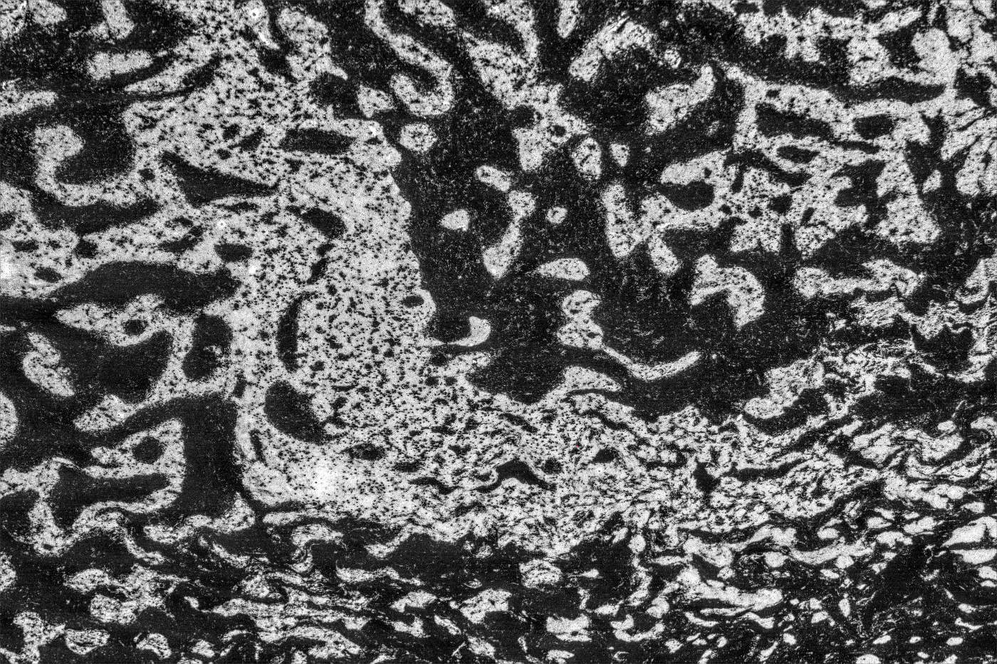 Жизнь вокруг