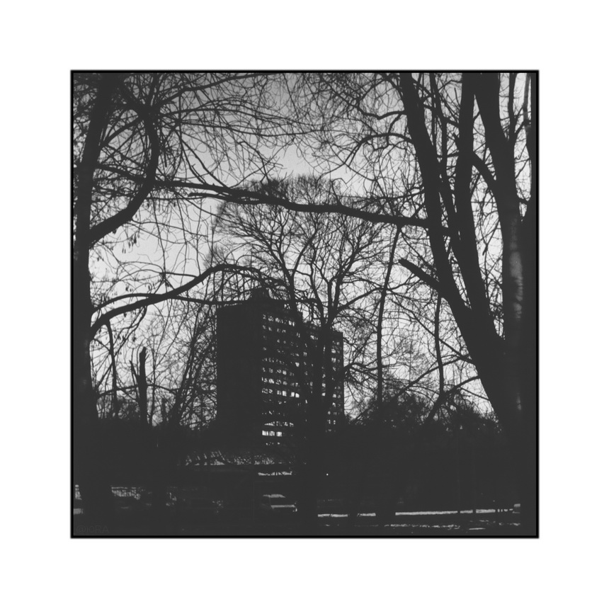 Пейзаж в закатном свете