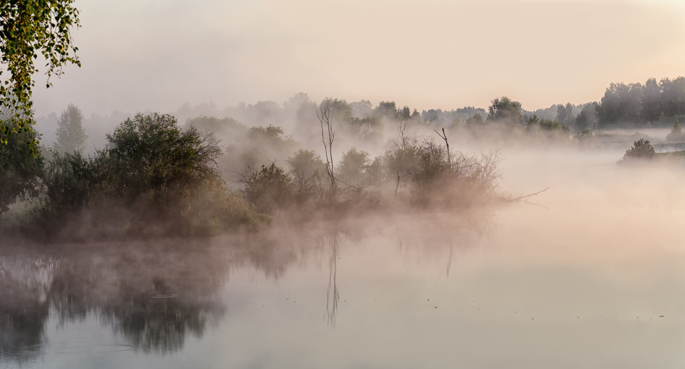 Утро в тайге.