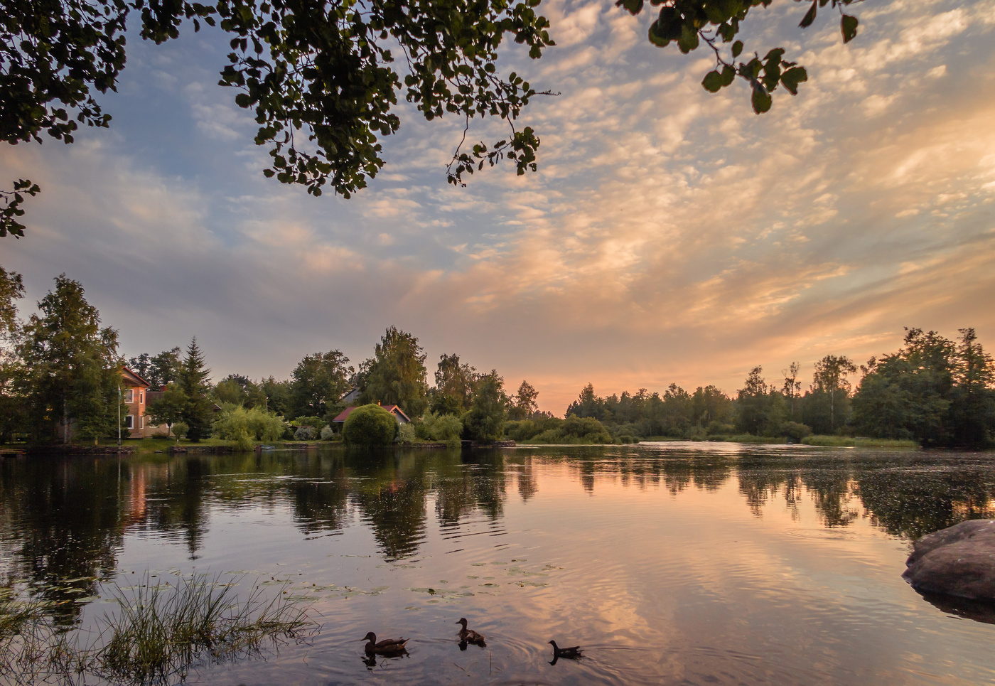 Городские виды Приозерска