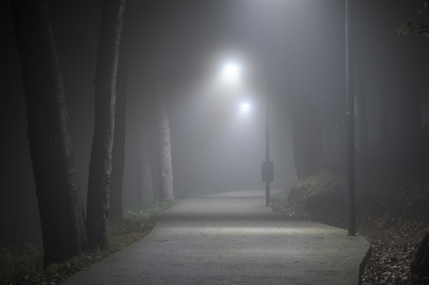 Night Misty Road