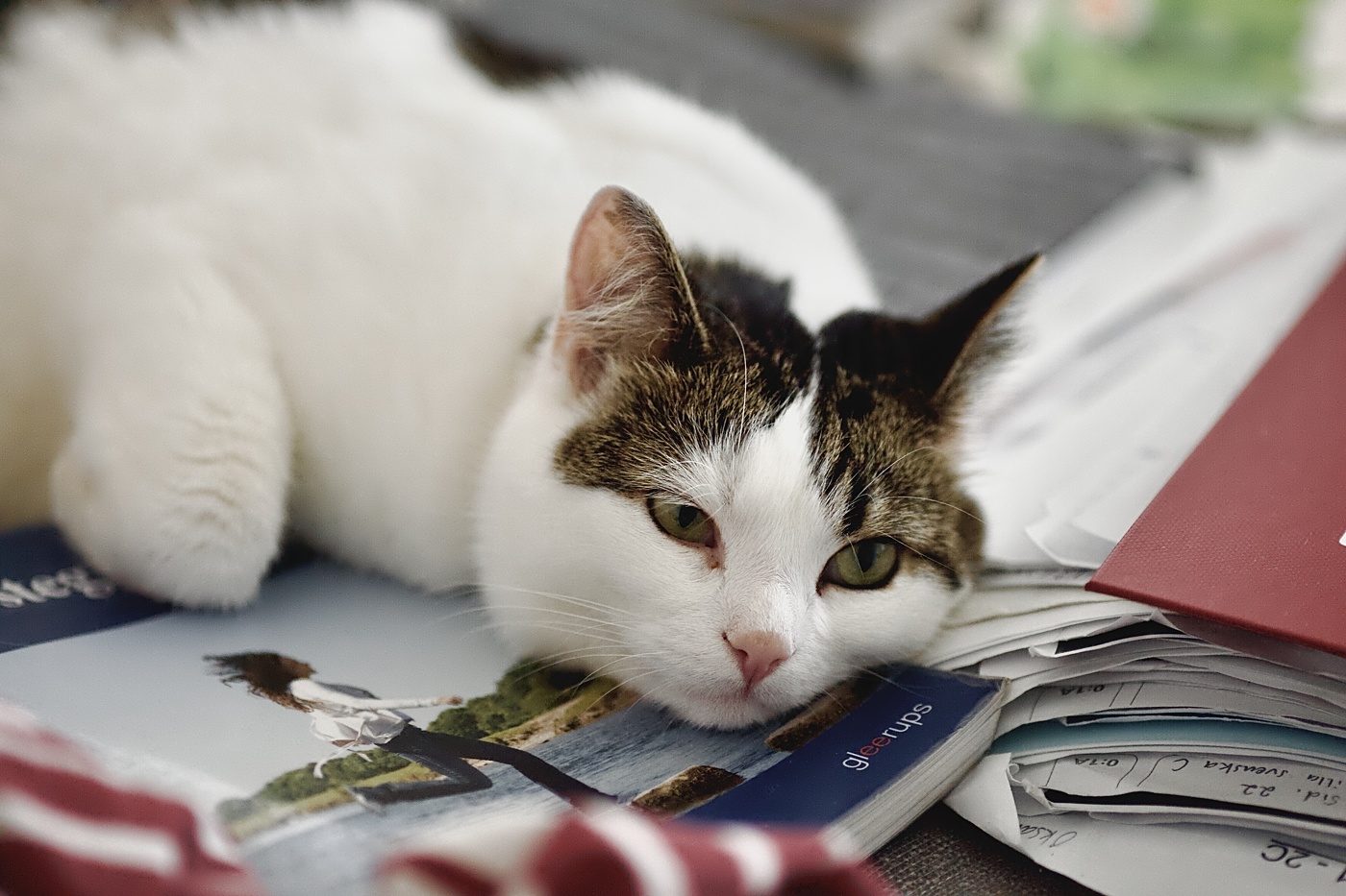 Академическое выгорание!