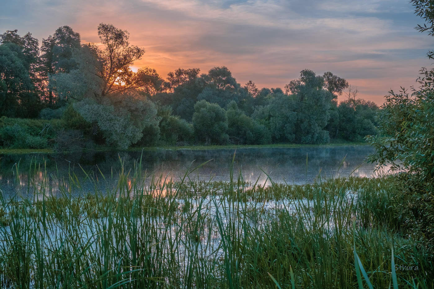 Летнее утро.