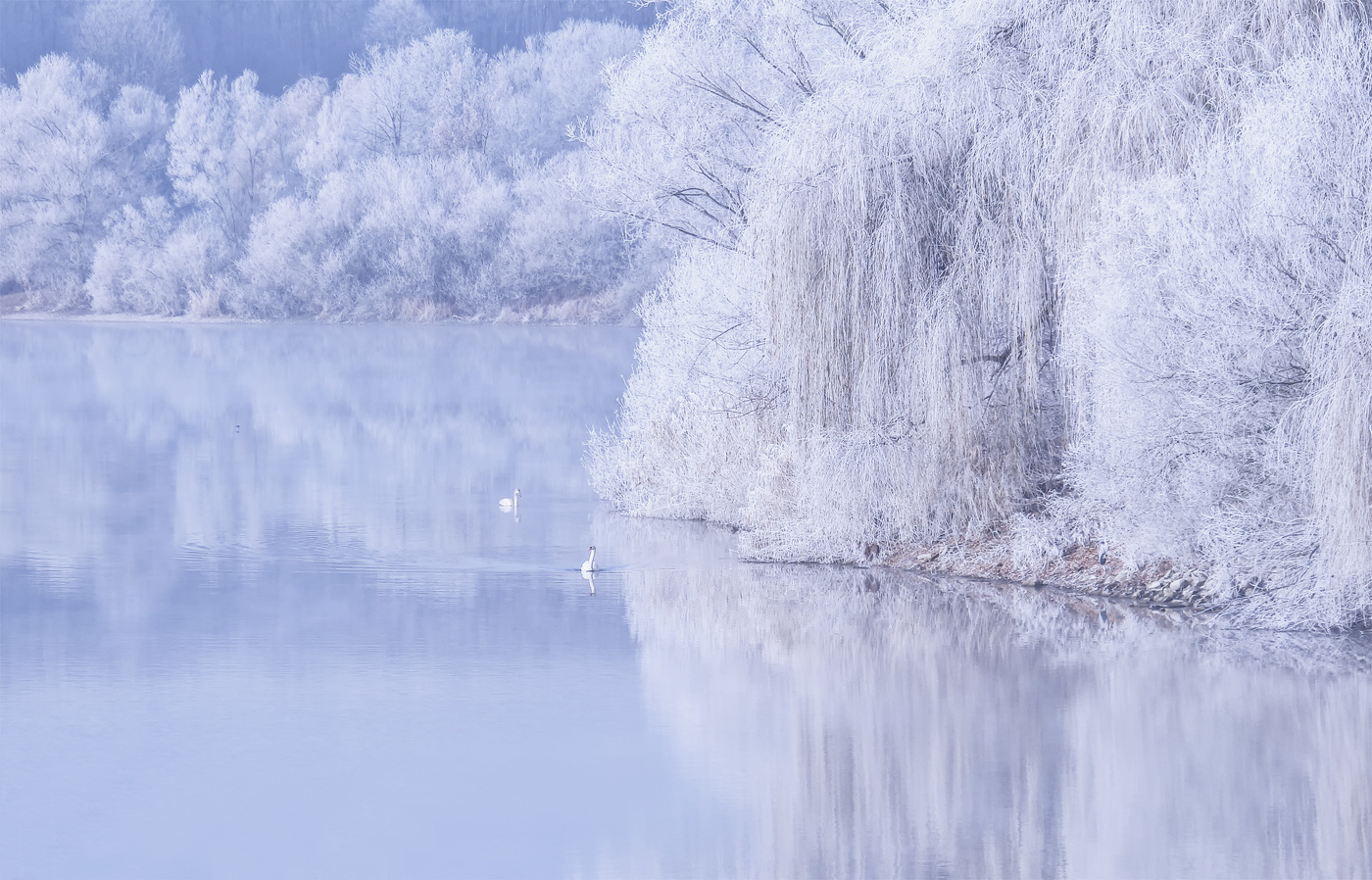 Лебединое озеро