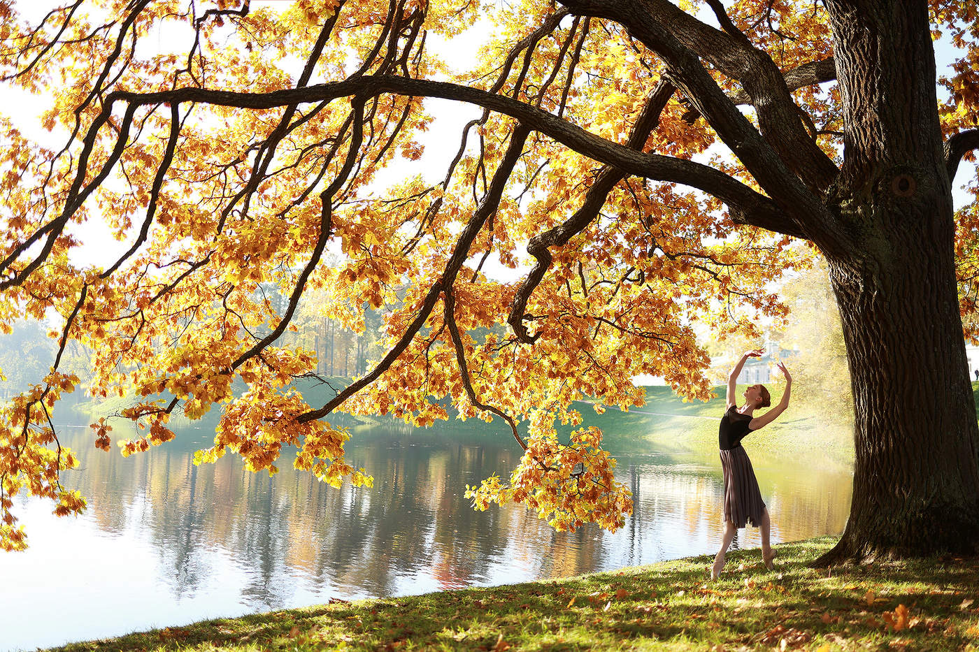 Балет в эксизах