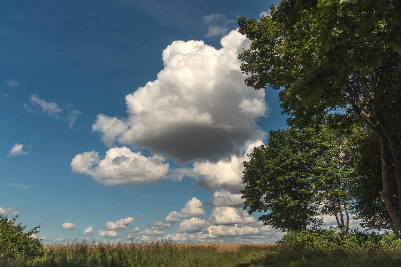 Последние дни июля 2025