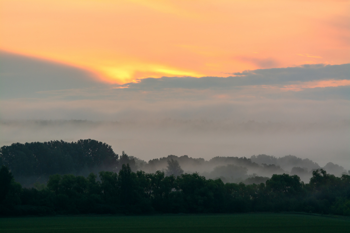 туманные дали
