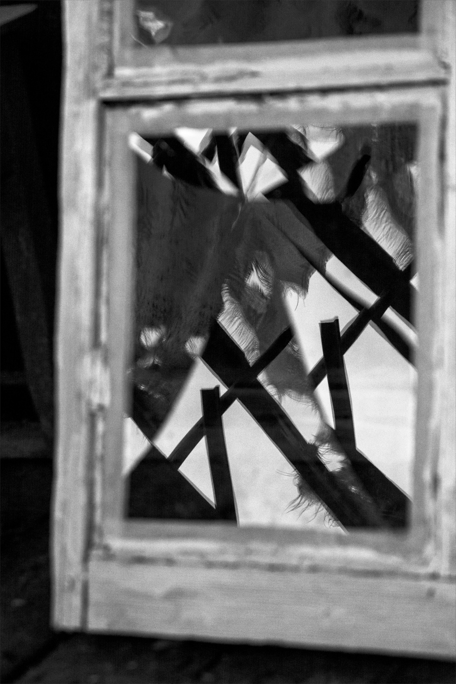 Жизнь вокруг