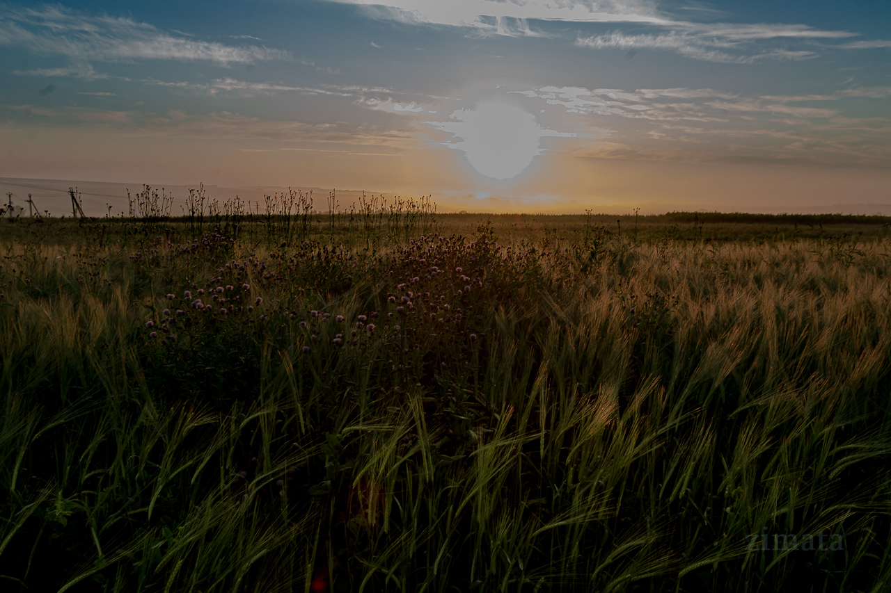 луг на рассвете